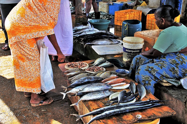 Circuit privé Sri Lanka Marché poisson negombo